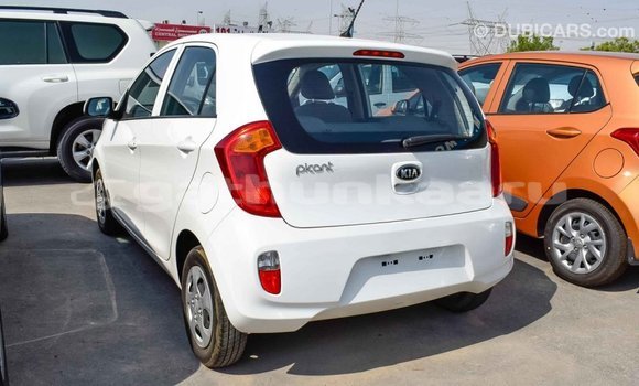 Buy Import Kia Picanto White Car in Import - Dubai in Baa Buy Import Kia Picanto White Car in Import - Dubai in Baa