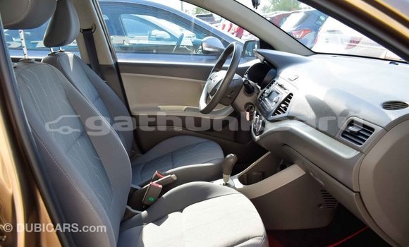 Buy Import Kia Picanto Brown Car in Import - Dubai in Baa Buy Import Kia Picanto Brown Car in Import - Dubai in Baa