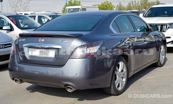 Buy Import Nissan Maxima Other Car in Import - Dubai in Baa Buy Import Nissan Maxima Other Car in Import - Dubai in Baa
