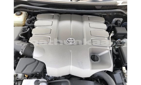Buy Import Toyota Land Cruiser White Car in Import - Dubai in Baa Buy Import Toyota Land Cruiser White Car in Import - Dubai in Baa