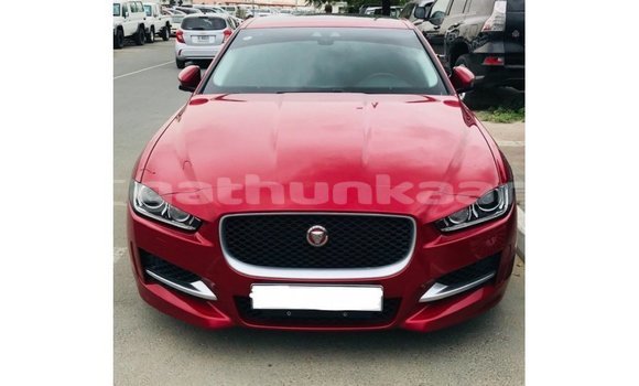 Buy Import Jaguar XE Red Car in Import - Dubai in Baa
