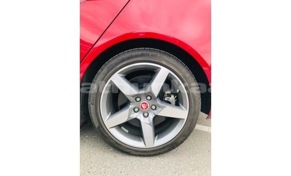 Buy Import Jaguar XE Red Car in Import - Dubai in Baa Buy Import Jaguar XE Red Car in Import - Dubai in Baa