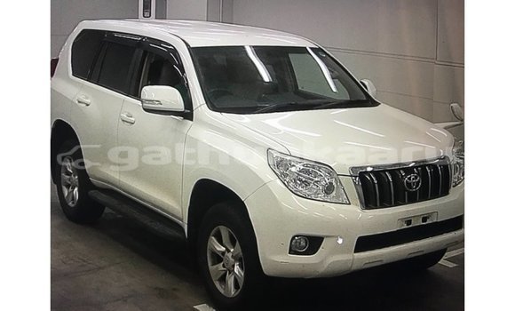 Buy Import Toyota Prado White Car in Import - Dubai in Baa Buy Import Toyota Prado White Car in Import - Dubai in Baa
