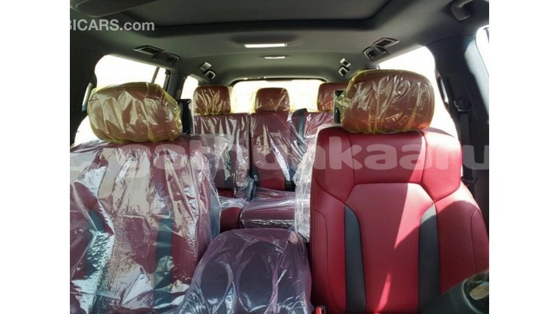 Big with watermark cfbdb2cf 3783 46a9 8e17 af734c23fe87