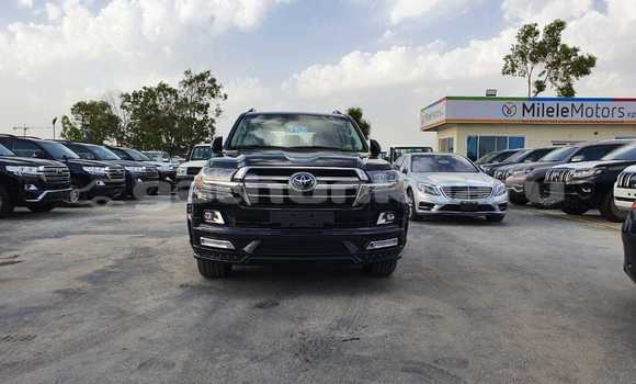 Buy New Toyota Land Cruiser Black Car in Agolhitheemu in Raa Buy New Toyota Land Cruiser Black Car in Agolhitheemu in Raa