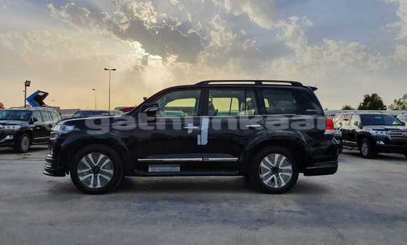 Buy New Toyota Land Cruiser Black Car in Agolhitheemu in Raa Buy New Toyota Land Cruiser Black Car in Agolhitheemu in Raa