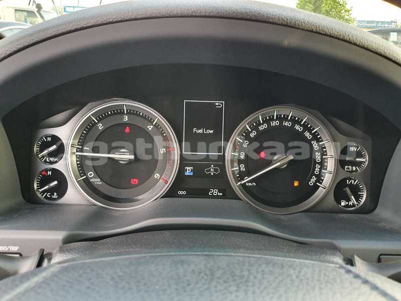 Big with watermark 7