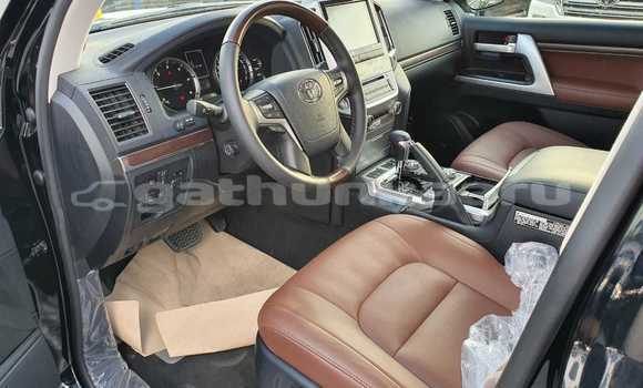 Buy New Toyota Land Cruiser Black Car in Agolhitheemu in Raa Buy New Toyota Land Cruiser Black Car in Agolhitheemu in Raa