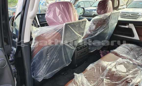 Buy New Toyota Land Cruiser Black Car in Agolhitheemu in Raa Buy New Toyota Land Cruiser Black Car in Agolhitheemu in Raa