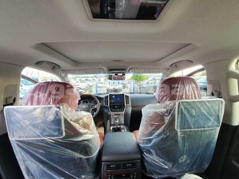 Big with watermark 13