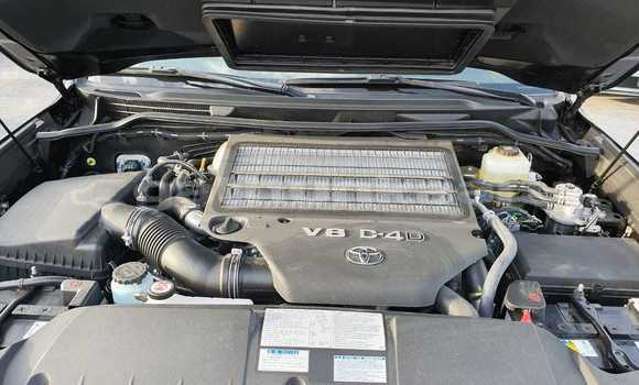 Buy New Toyota Land Cruiser Black Car in Agolhitheemu in Raa Buy New Toyota Land Cruiser Black Car in Agolhitheemu in Raa