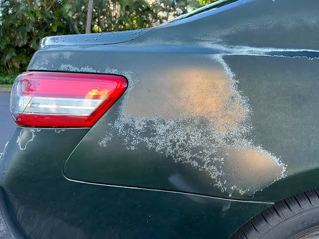 Car paint